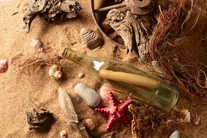 You never know what interesting forms you might find when you go beach-combing! Interesting beach-combing forms.