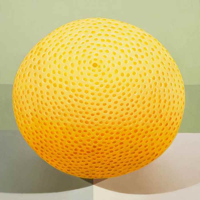 "Field 04. Grapefruit" by Robert MacPartland showing how shading and perspective can make a spherical object look 3-dimensional. "Field 04. Grapefruit" by Robert McPartland.