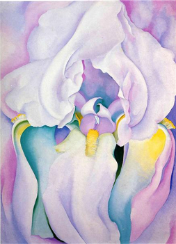 "Light of Iris" by Georgia O'Keeffe, zooming in on the beautiful flowing shapes of an Iris flower. "Light of Iris" by Georgia O'Keeffe